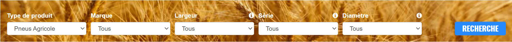 image bandeau de recherche